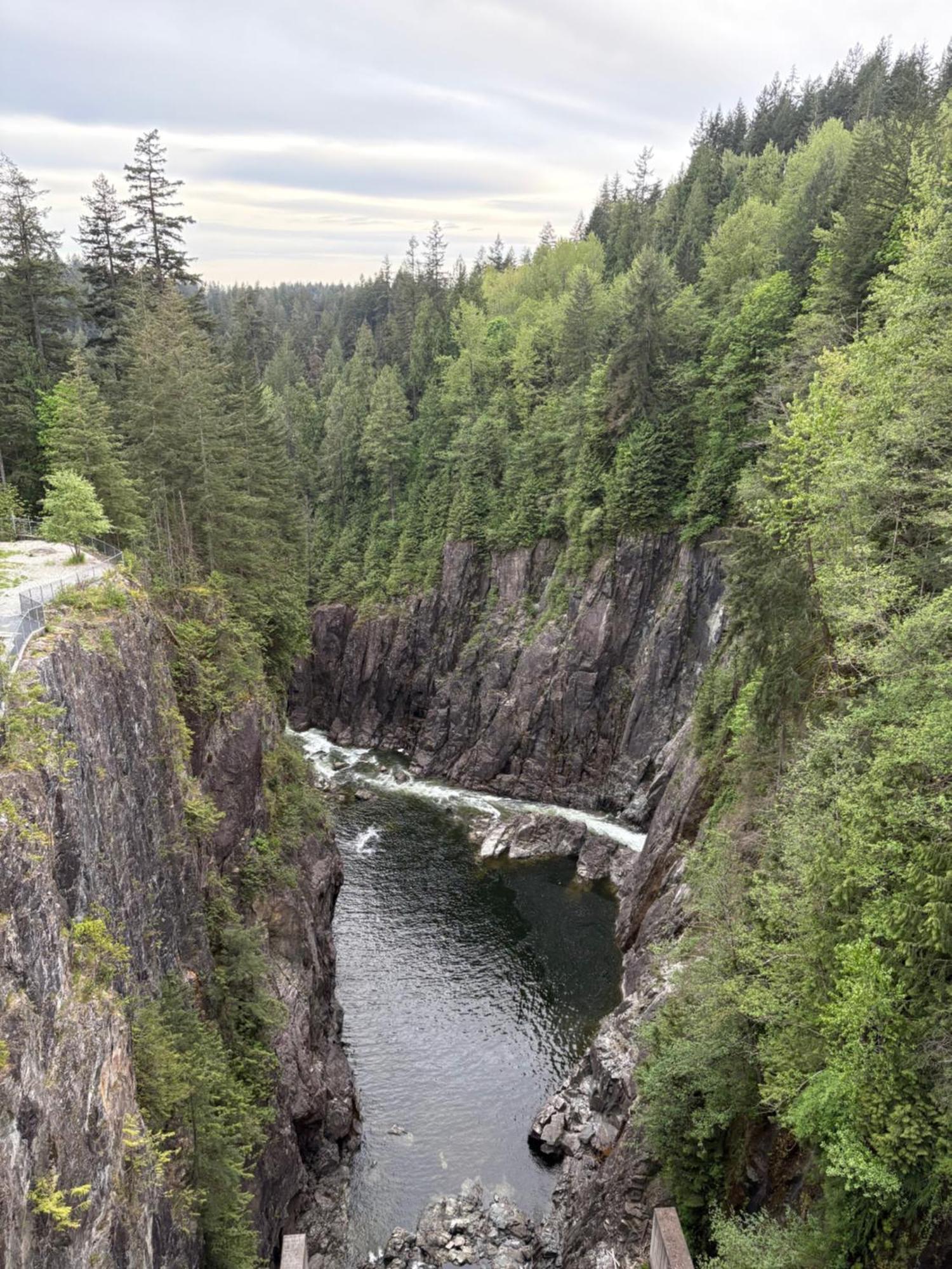 'Canyon Heights' Retreat Северный Ванкувер Экстерьер фото